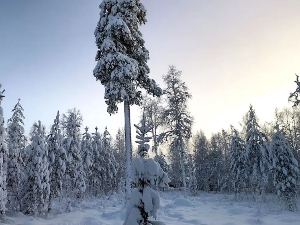 Snövägen 34, 4 bäddar 